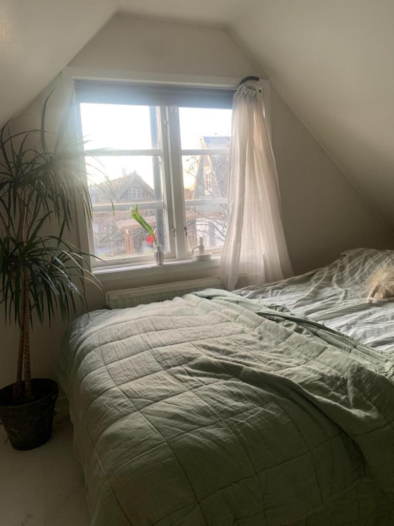 Millans Dockhus Villa Onslunda Kültér fotó