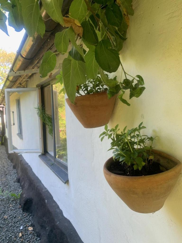 Millans Dockhus Villa Onslunda Kültér fotó